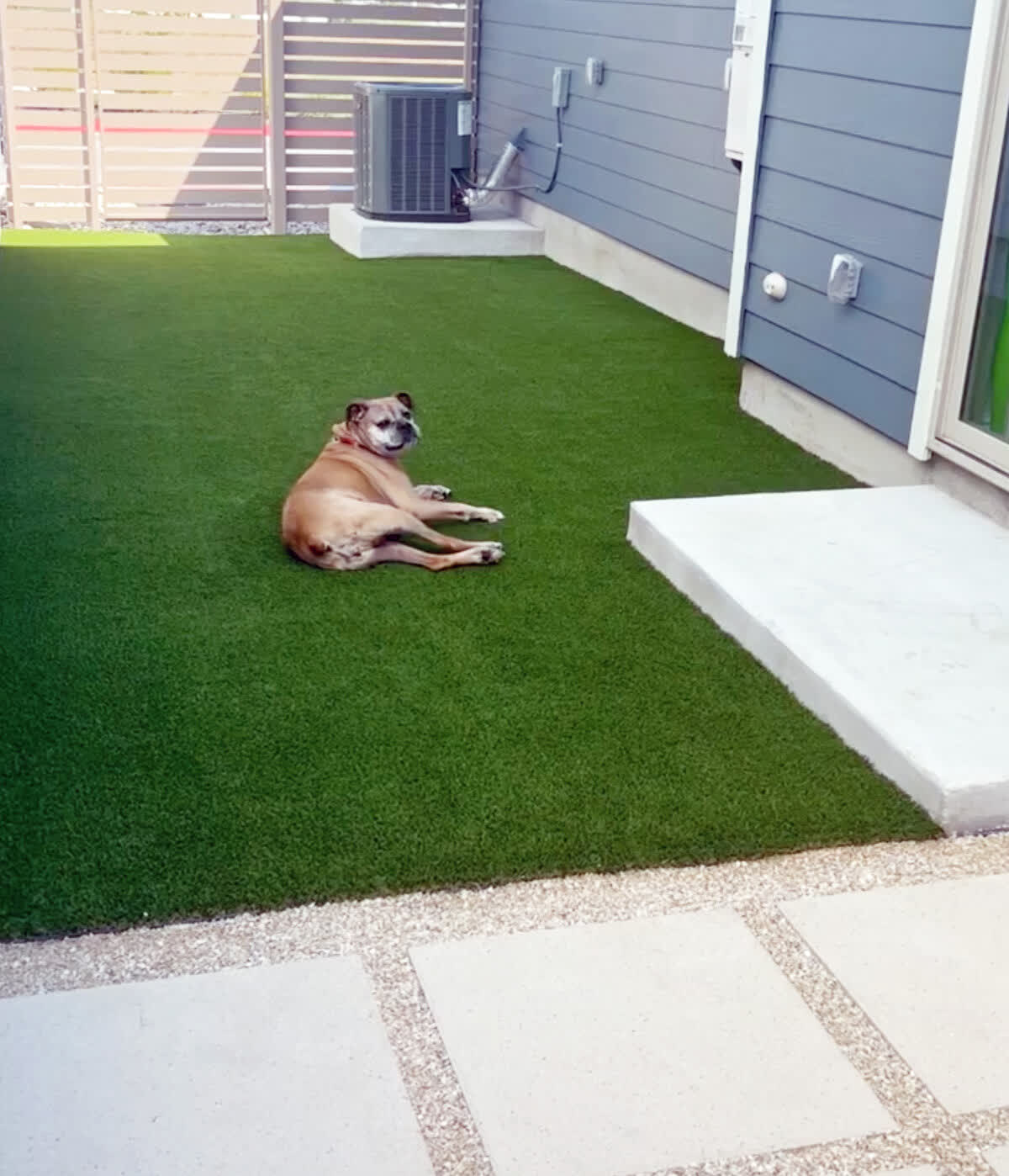 Pet Turf & Dog Runs, Pet Turf & Dog Runs project in Portland, OR