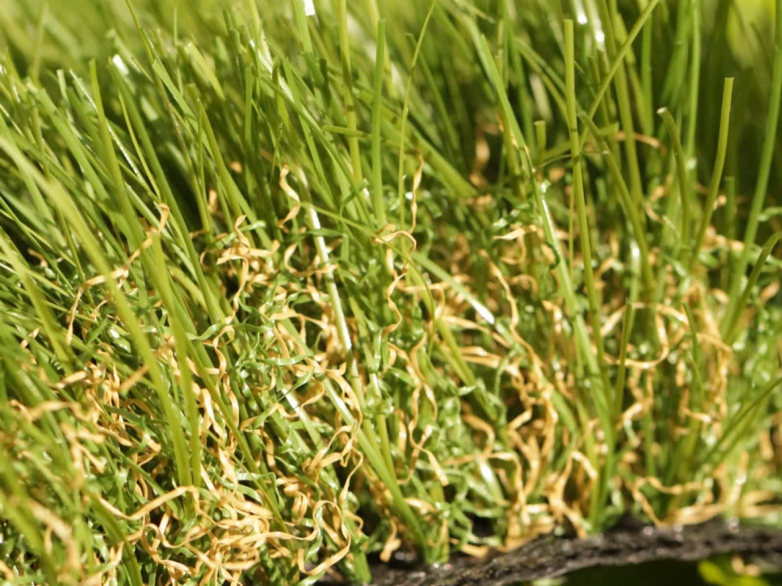 How to Choose Artificial Turf: Face Weight, Pile Height & Blade Shape