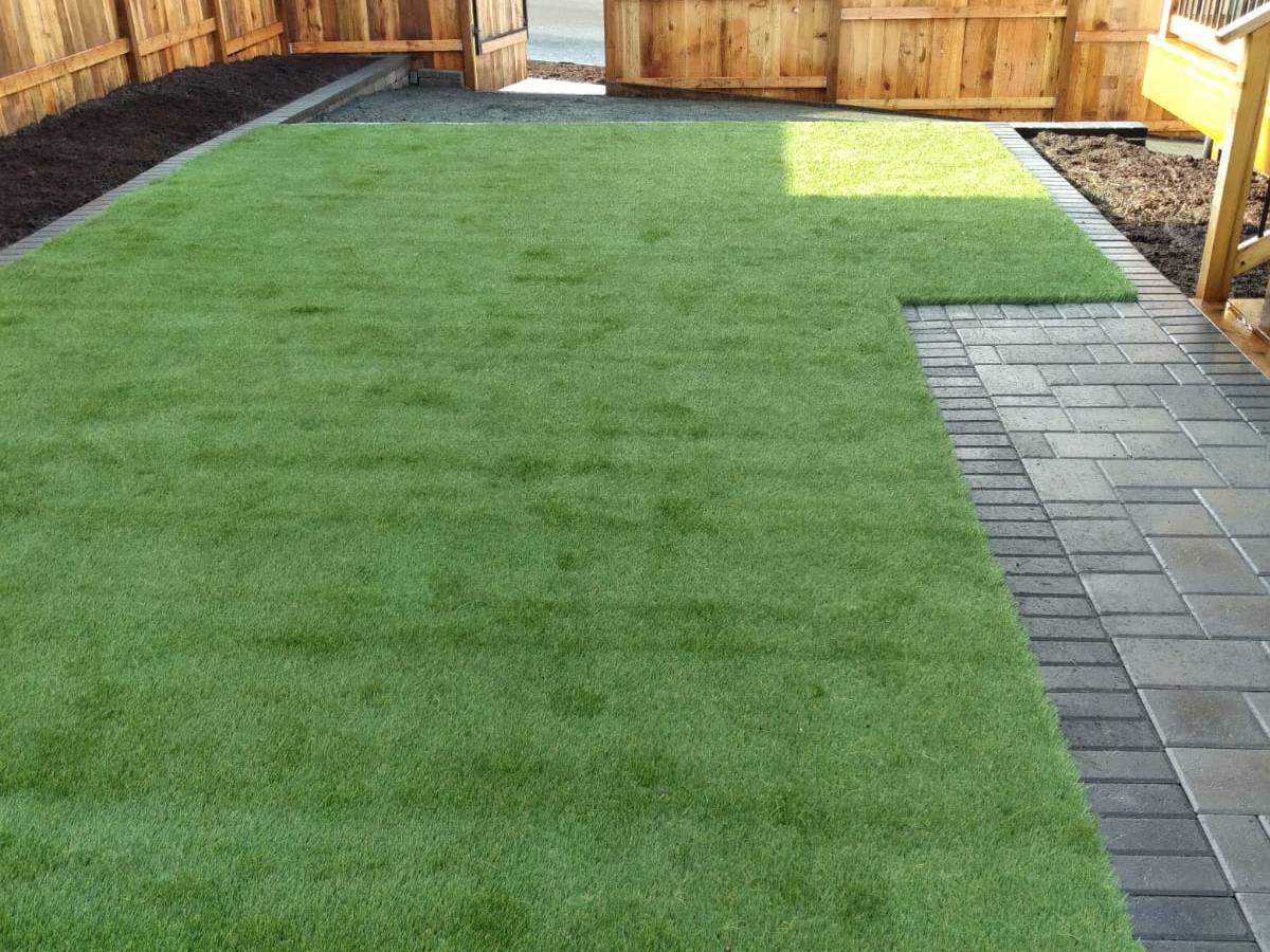 Synthetic lawn alongside a paver walkway in a Portland-area back yard