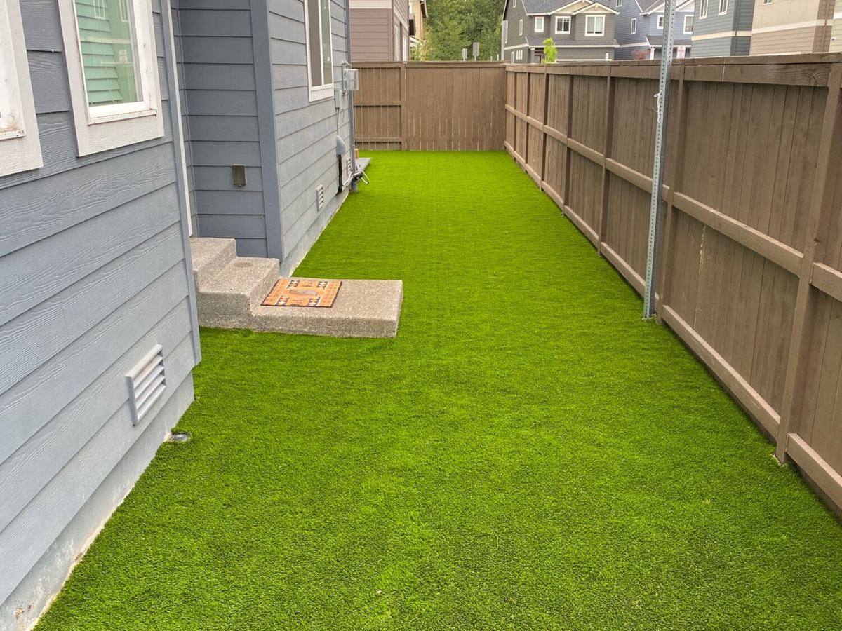 Shaded side-yard artificial turf where natural grass would not grow